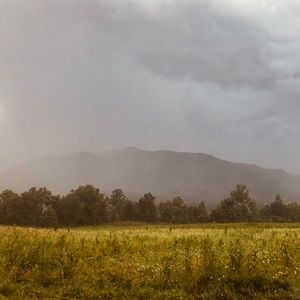 Meet your Posher, Presley